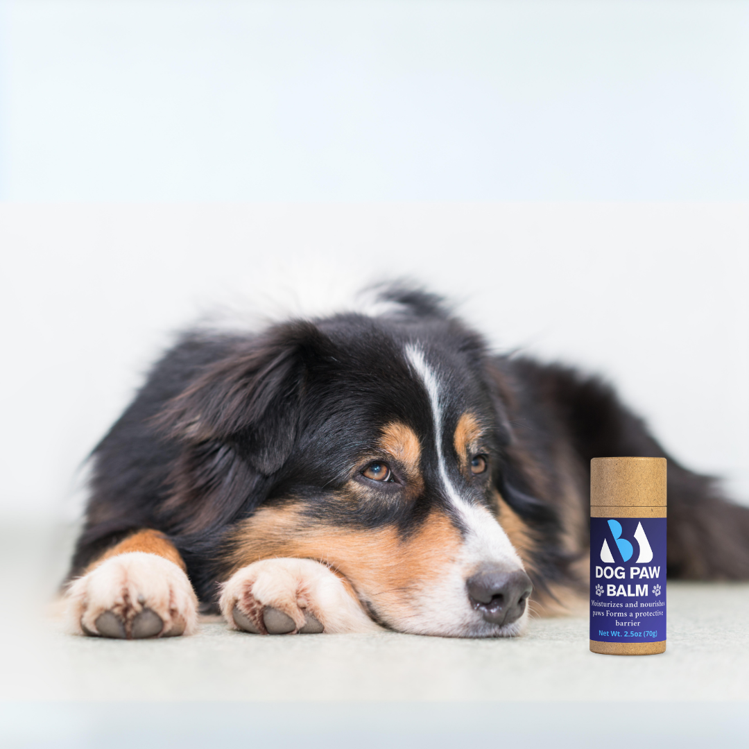 Dog Paw Balm